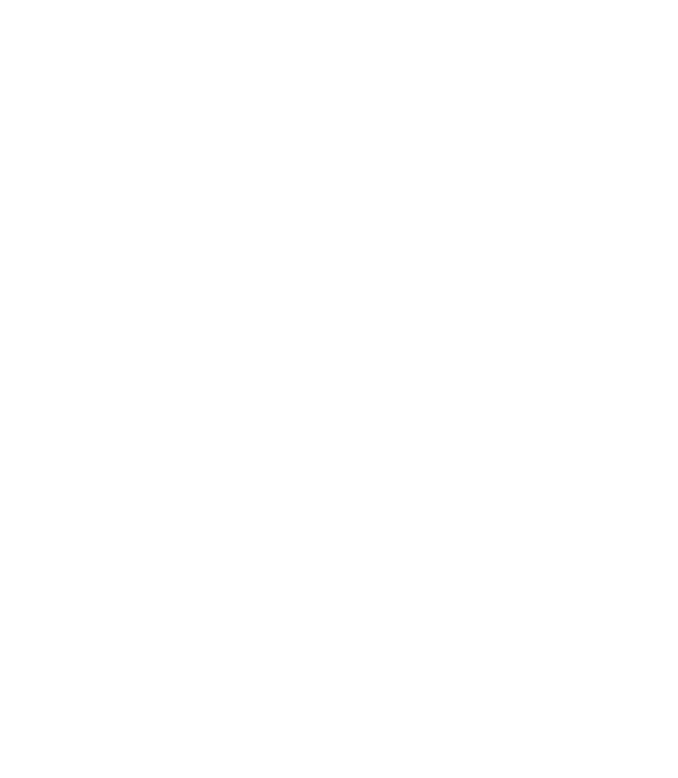felidian consulting
